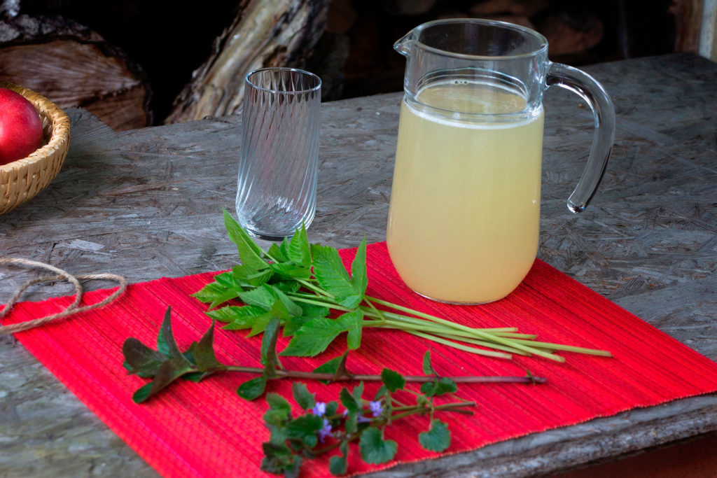 Zutaten für die erfrischend spritzige Herbal Hunter Giersch-Limonade