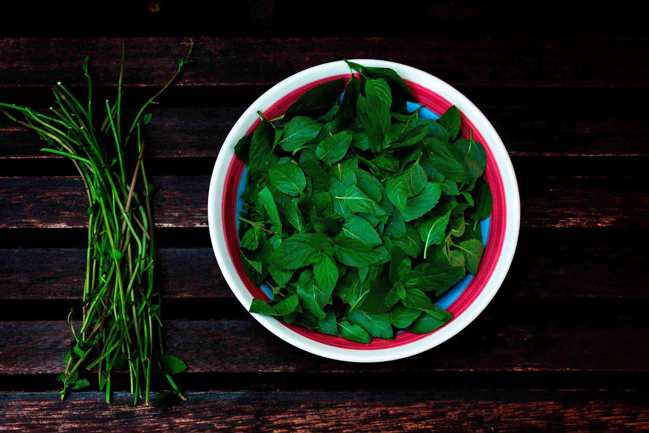 Herbal Hunter Rezept – Pfefferminzlikör selber machen